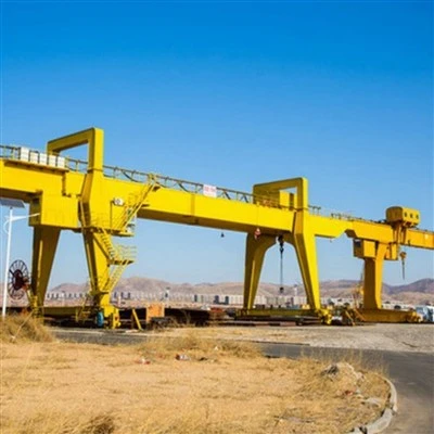 Craen Gantri Girder Dwbl 100 Tunnell